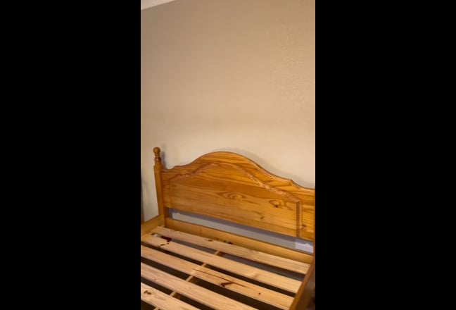 Lovely large double - Three bridges, Crawley Main Photo