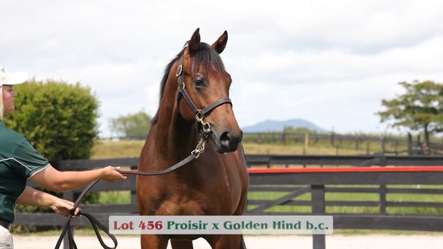 Lot 456