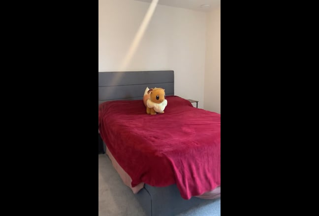 Double room en-suite in Wembley Park Main Photo