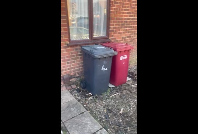 Newly renovated, spacious 1 bedroom house Main Photo