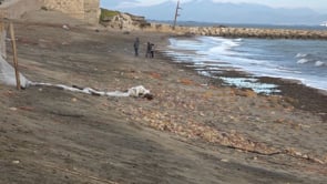 L'Escala preveu aportar sorra a la platja de Les Muscleres o del Portitxol, arran de la llevantada