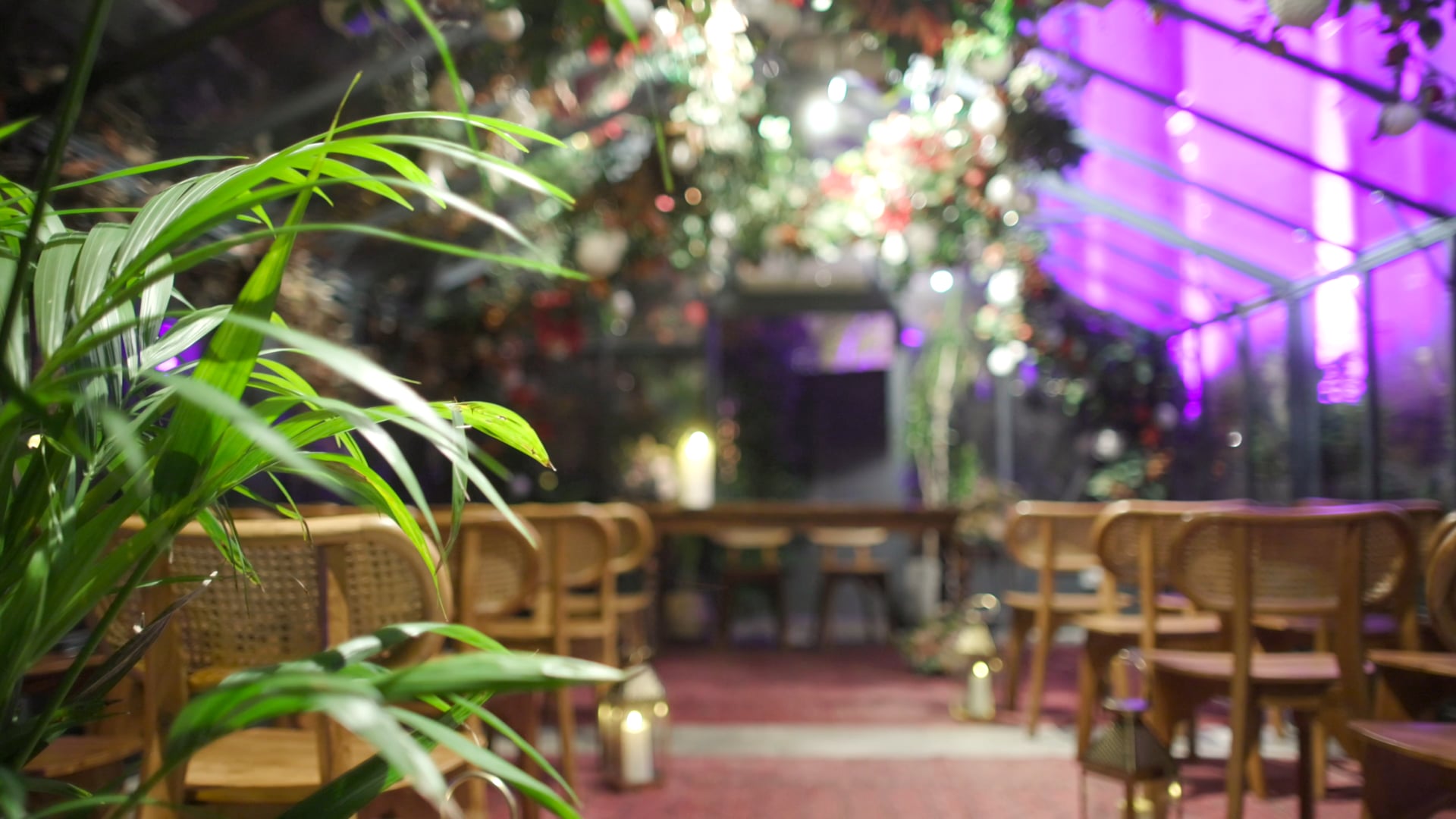The Greenhouses (Marylebone) - Full Venue Tour