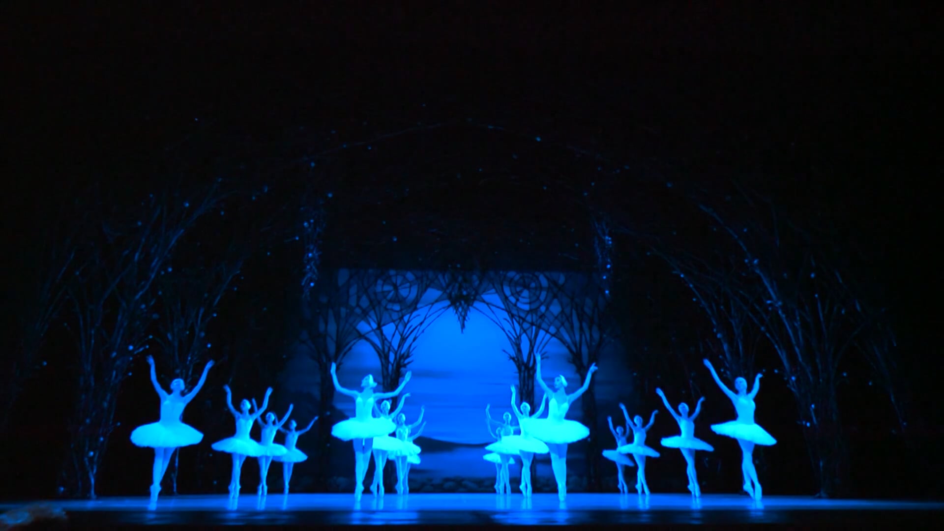 Лебединое озеро. Театр балета им. Л. Якобсона, 192