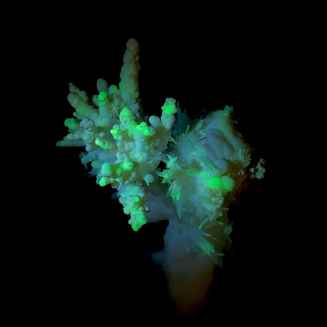 Aragonite (classic material) (fluorescent)