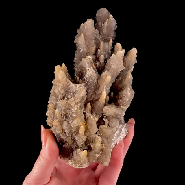 Quartz and Chalcedony pseudomorphs after Laumontite