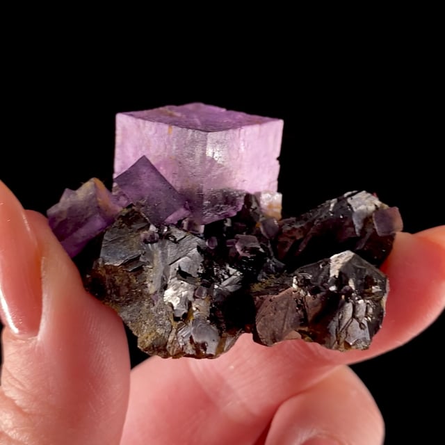 Fluorite (GEM crystals) on Sphalerite (fluorescent)