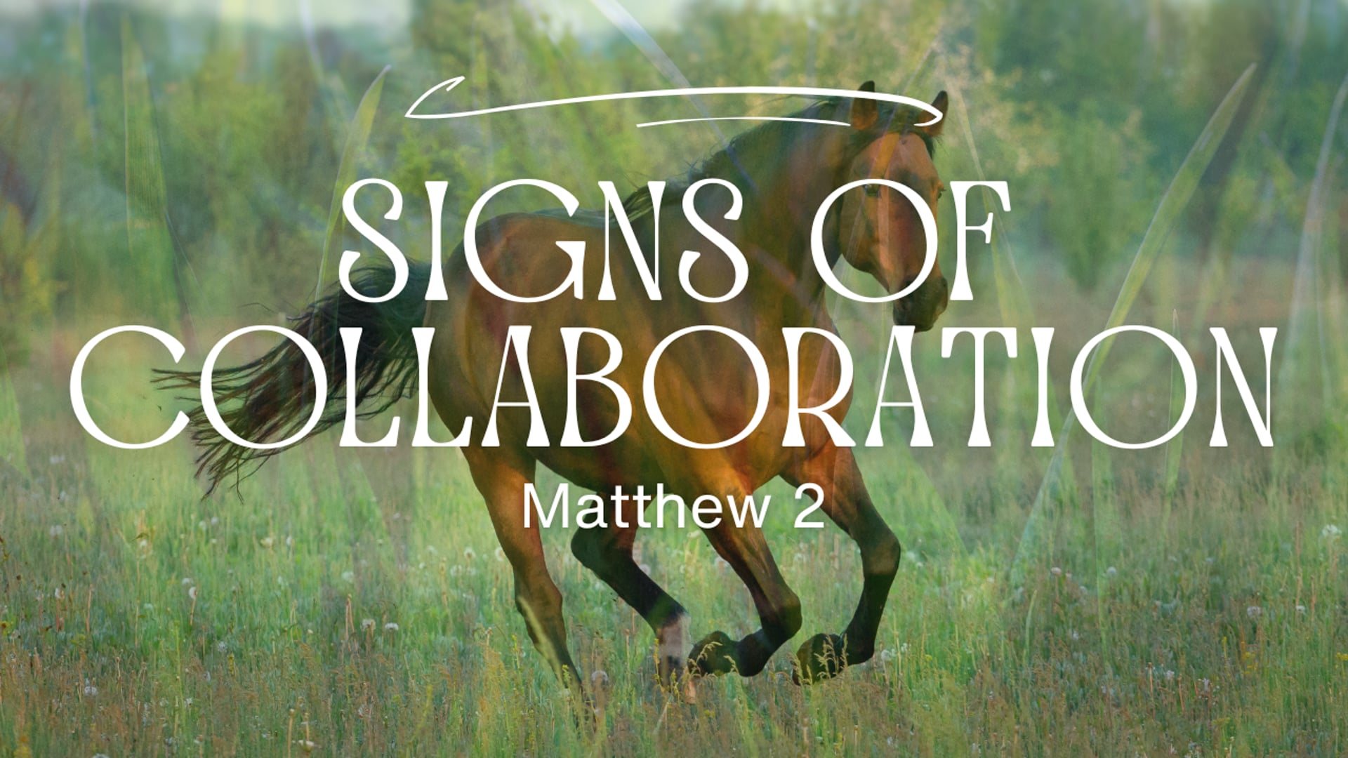 Dec  28, 2026 - Signs of collaboration