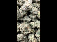 Kami kush