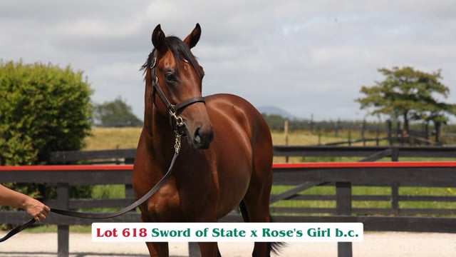 Lot 618