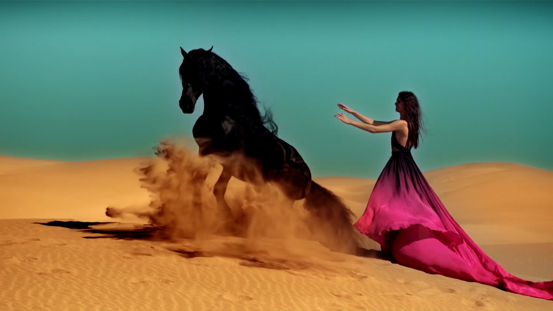 Estrellas del Bicentenario: Sonora / Director Diego Pernía