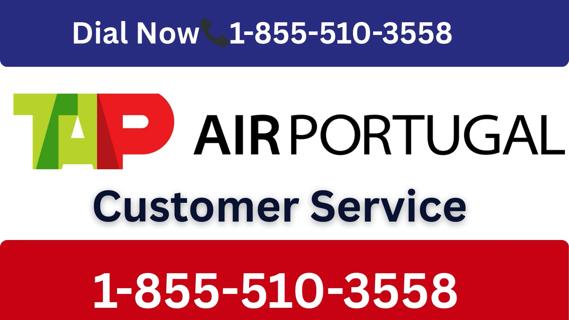 [✔Step-By-Step-2026]  Tap Air Portugal Customer Service