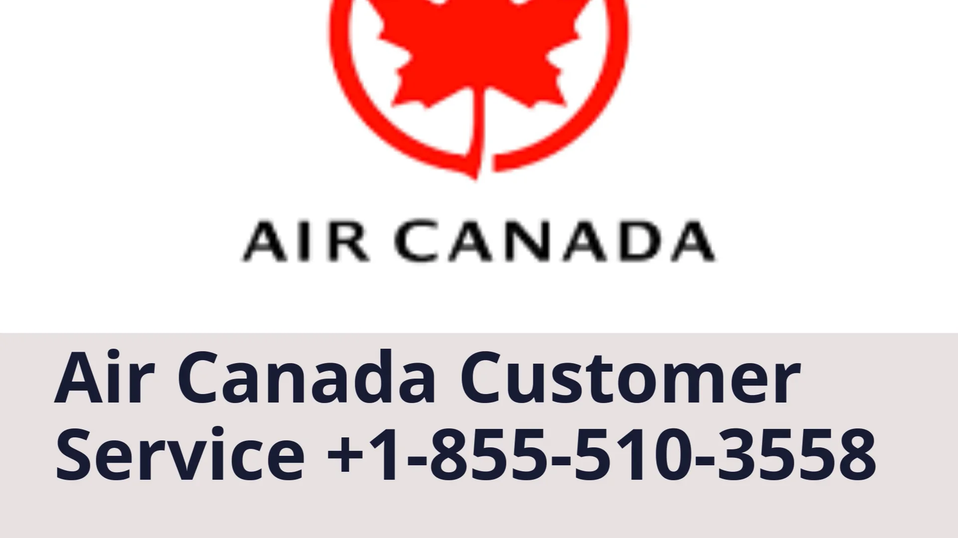 A Ultimate Guide to Official {Air Canada &trade;} Customer Service&reg;: Summary of Phone, Chat, and Mail
