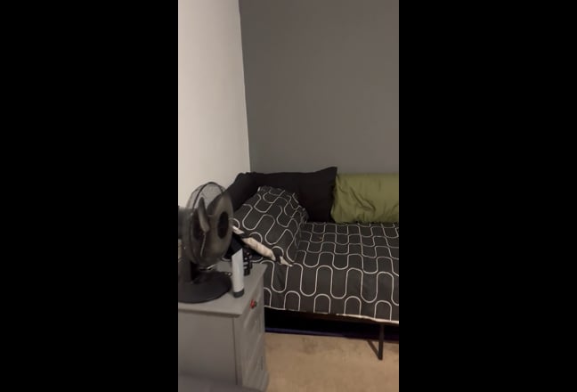 Huge Room + Private Extra Space  Main Photo