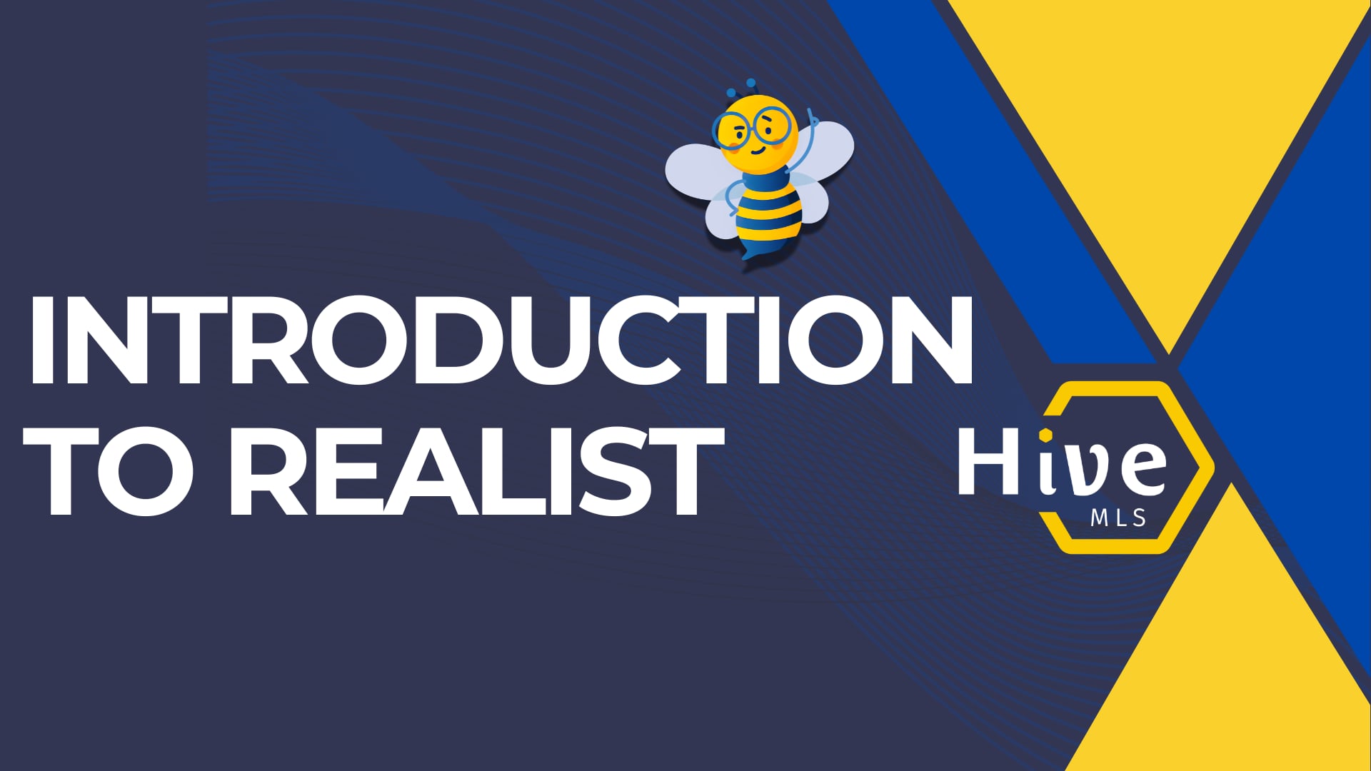 Introduction to Realist