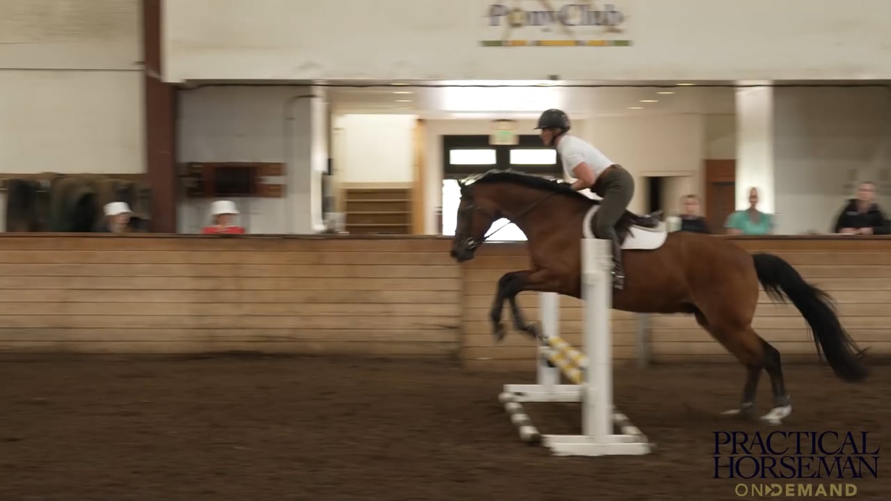 Geoff Teall – 3’ Level – Jumping a Small Course – Part 1