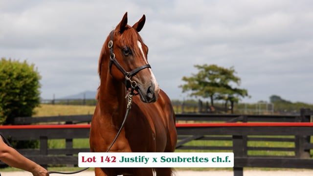 Lot 142