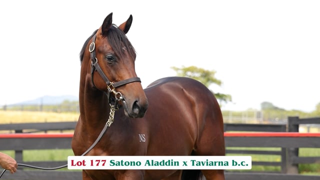 Lot 177