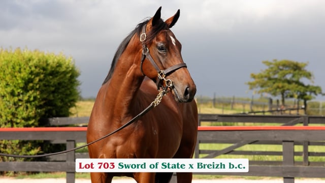 Lot 703