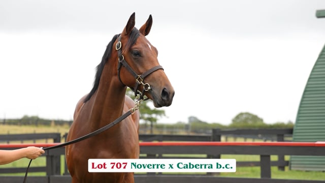 Lot 707