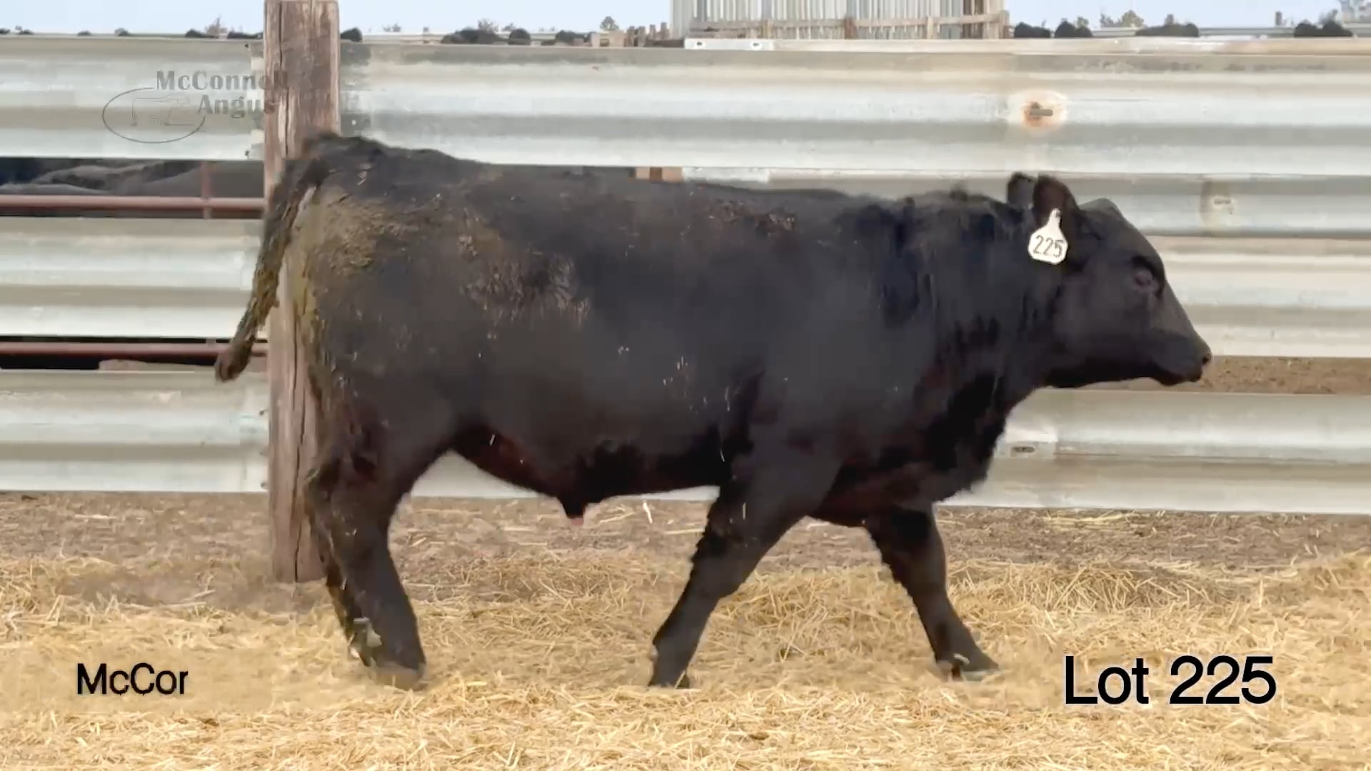 Lot 225 McConnell Crusher 4741