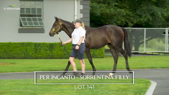 Lot 141