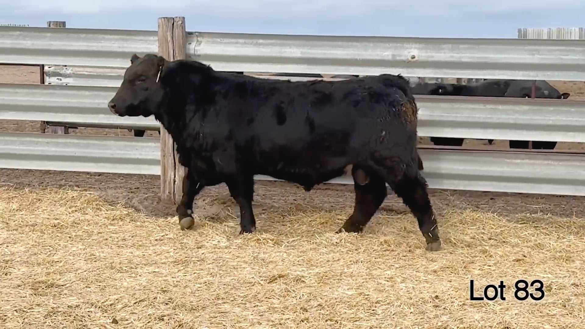 Lot 83 McConnell Rainfall 274