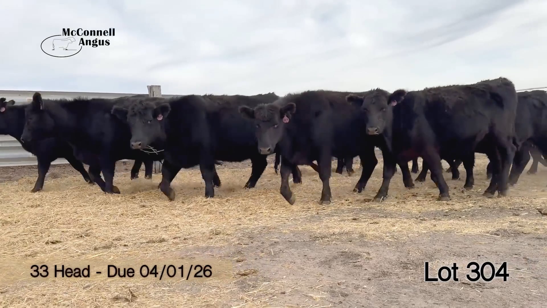 Lot 304 - Due 04/01/26