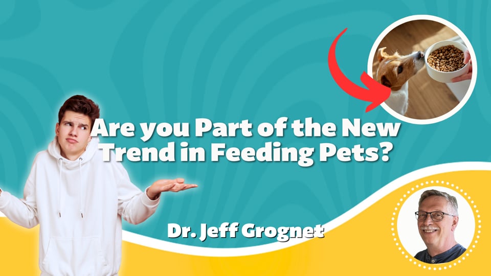 Are you Part of the New Trend in Feeding Pets?