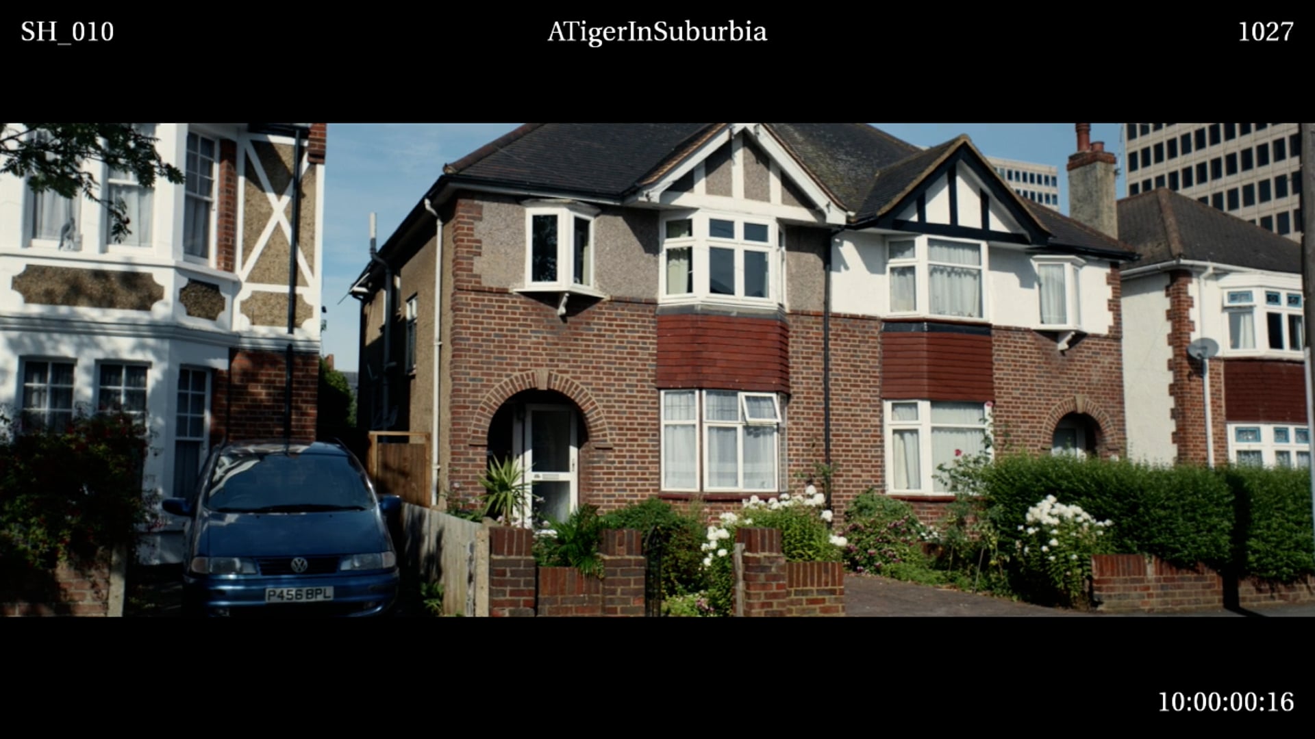 A Tiger in Suburbia - Commercial rework.mov