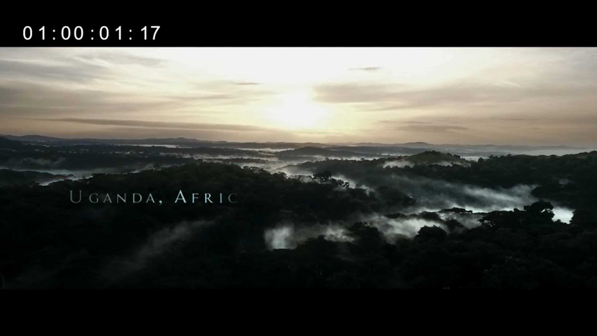 RISE OF THE WARRIOR APES Opening.mov