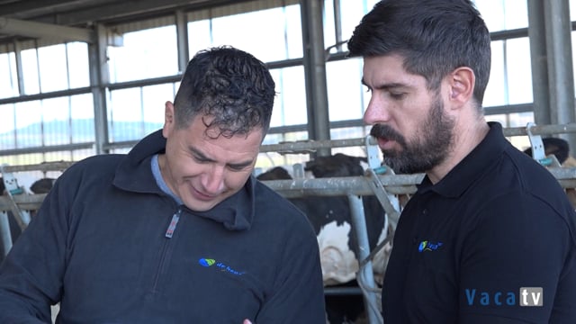 Roncero aplica el programa de alimentación de De Heus tanto para las vacas en lactación como para las secas