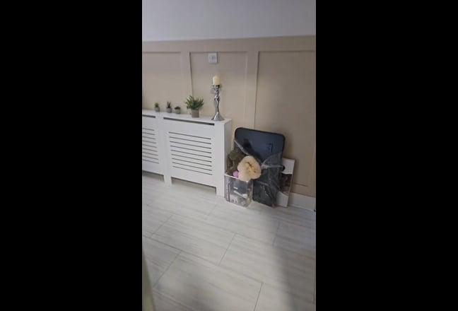 Balham huge room Main Photo