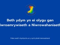 Beth ydym yn ei olygu gan Niwroamrywiaeth a Niwrowahaniaeth?