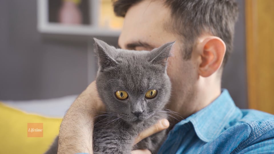 Pet Care Goes High-Tech