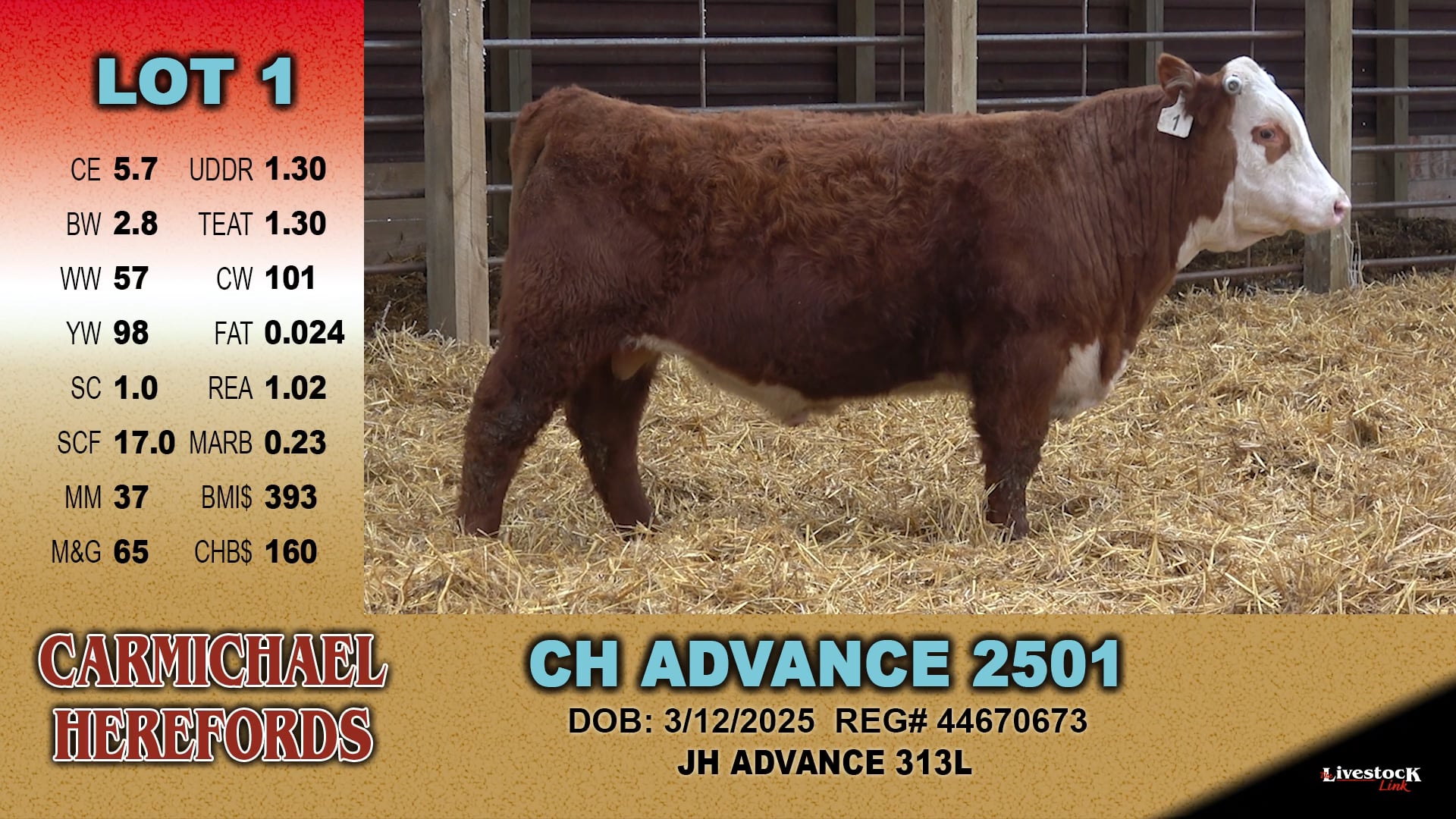2026 Bull Sale