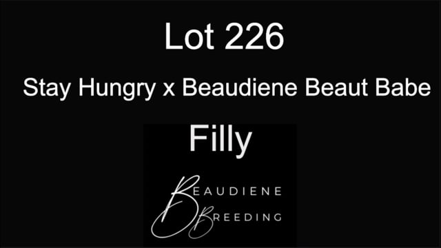 Lot 226