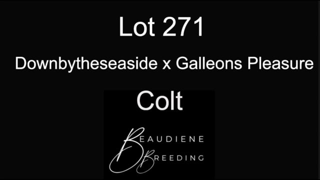 Lot 271