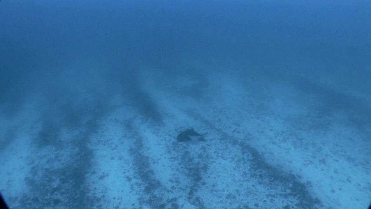 The HALIBUT QUEEN on Vimeo