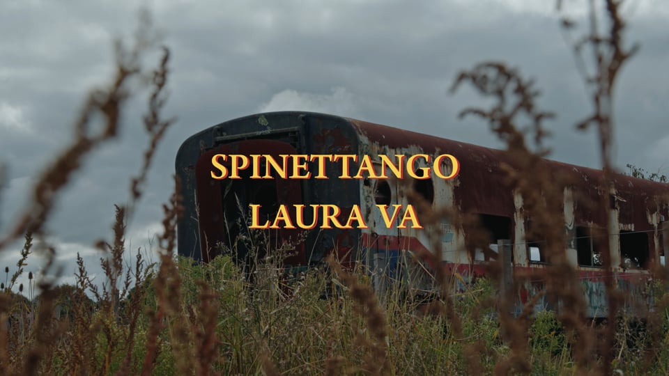 LAURA VA 4K