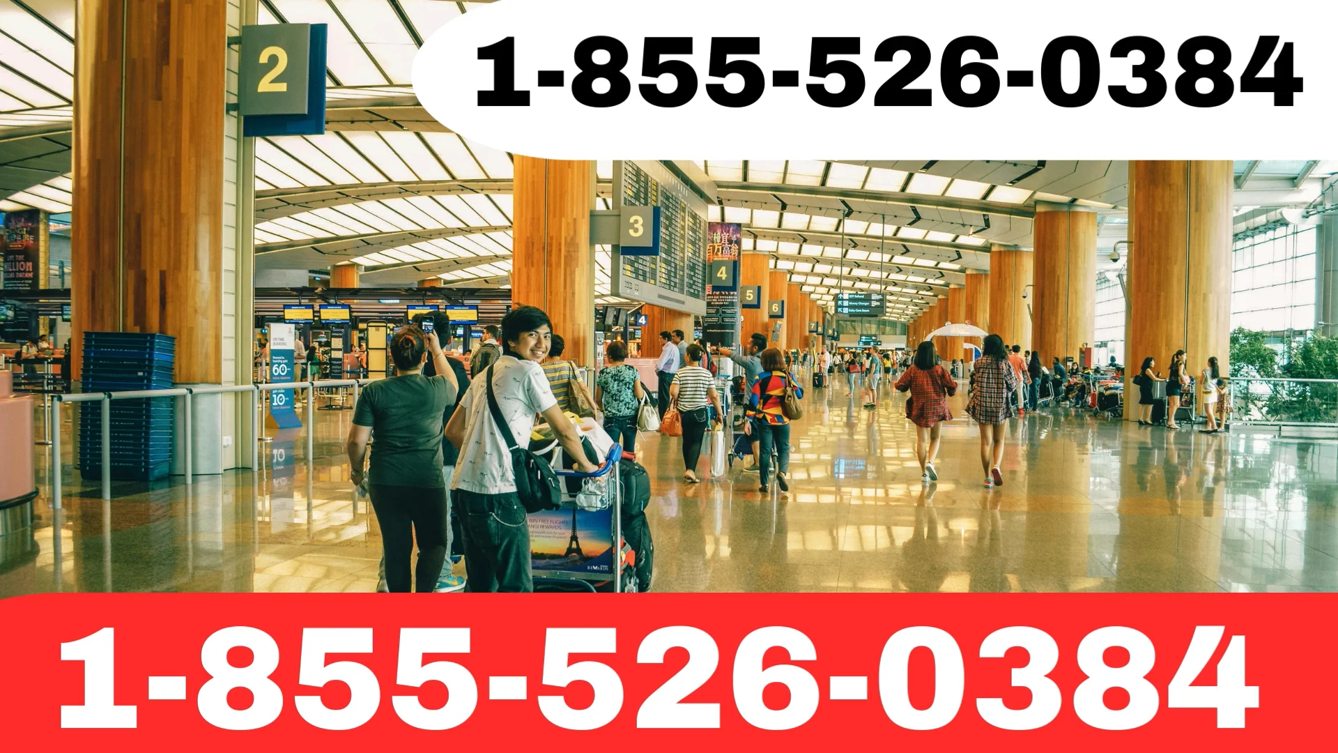 Official Guide Qatar Airways&reg; Customer Service | Step-by-Step Guide to Get Help Anytime