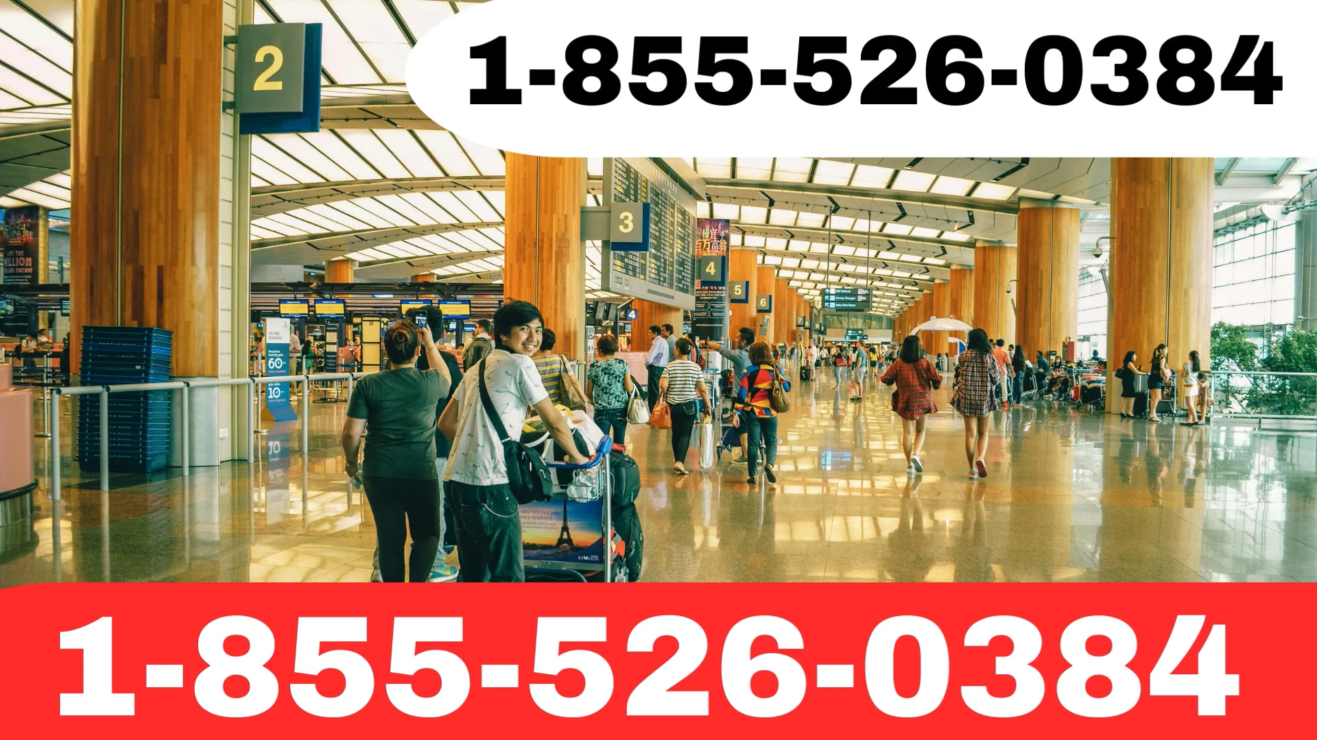 【Qatar Airways 】✮ Customer Service Complete Breakdown &mdash; {24/7 Live Person} All Support Channels