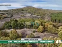 Palmoli - Famiglia nel bosco, spese per accoglienza a carico della comunità
