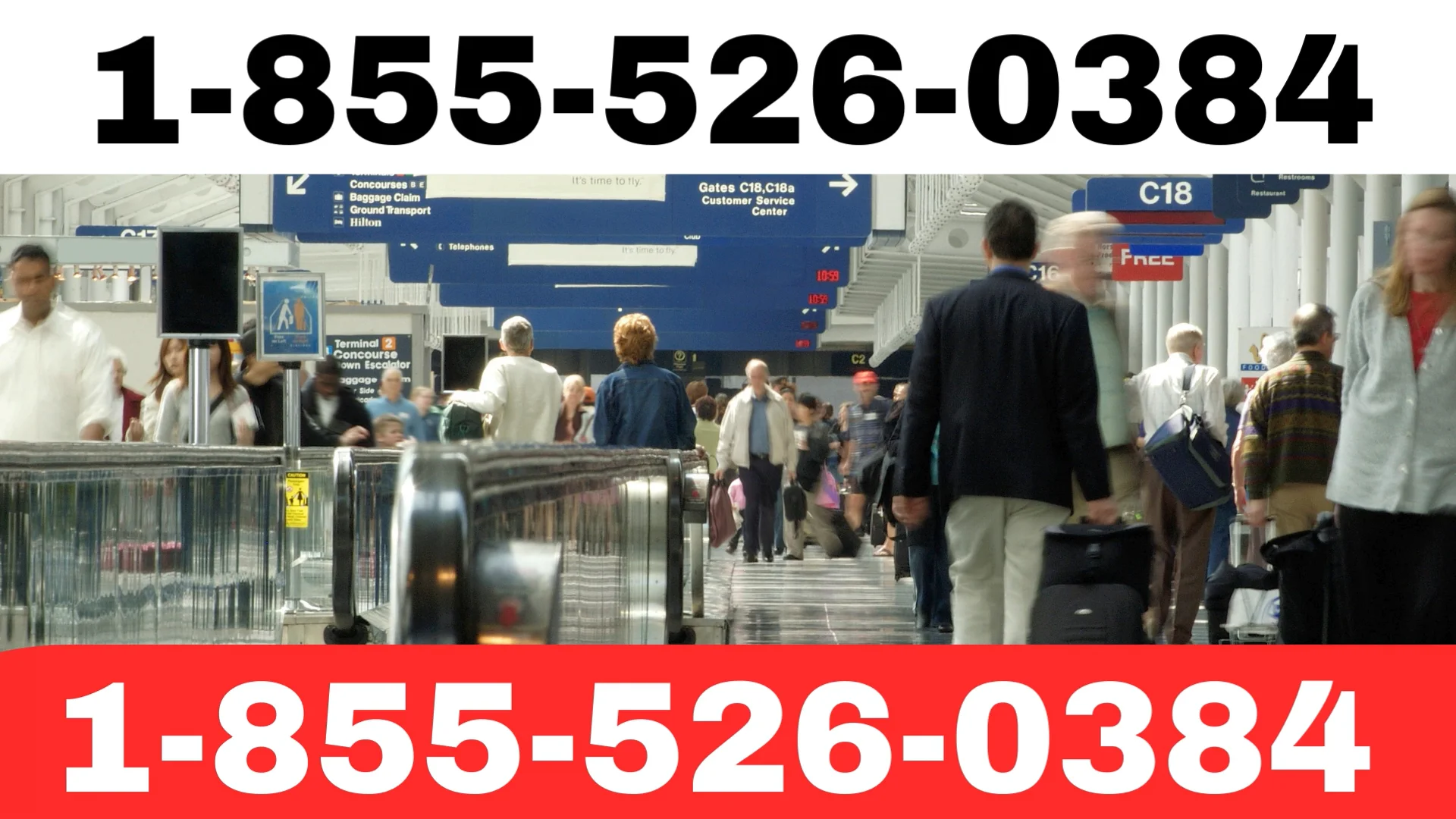 Westjet Airlines&reg;&reg; Official Customer Service Complete || Official 24-7 Support Guide