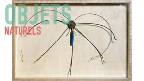 Vignette de la vidéo