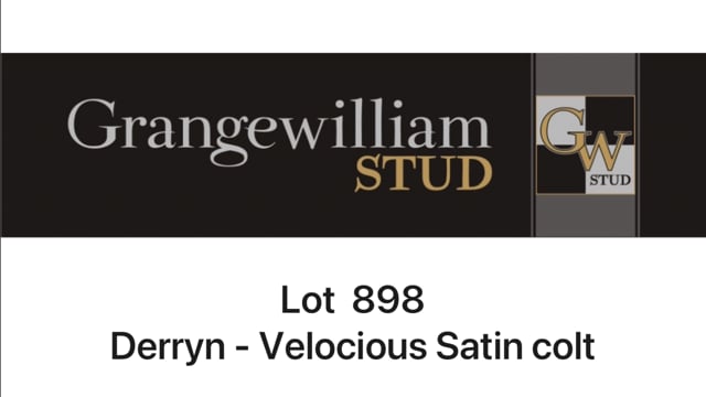Lot 898