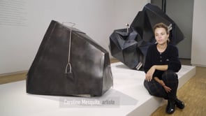 Vignette de la vidéo