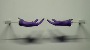 Vignette de la vidéo