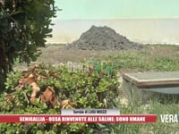 Senigallia - Ossa rinvenute alle Saline: sono umane