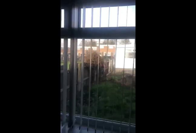 Beautiful room available  Main Photo