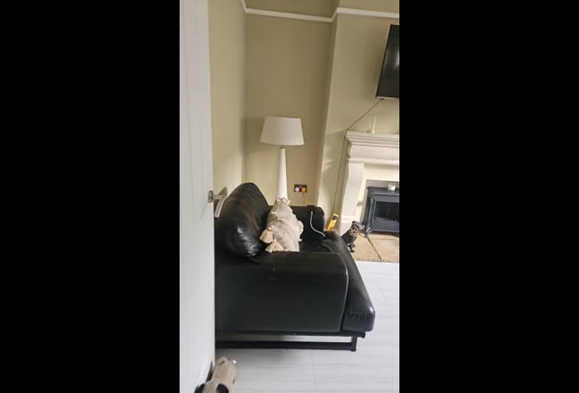 Huge double room in balham Main Photo